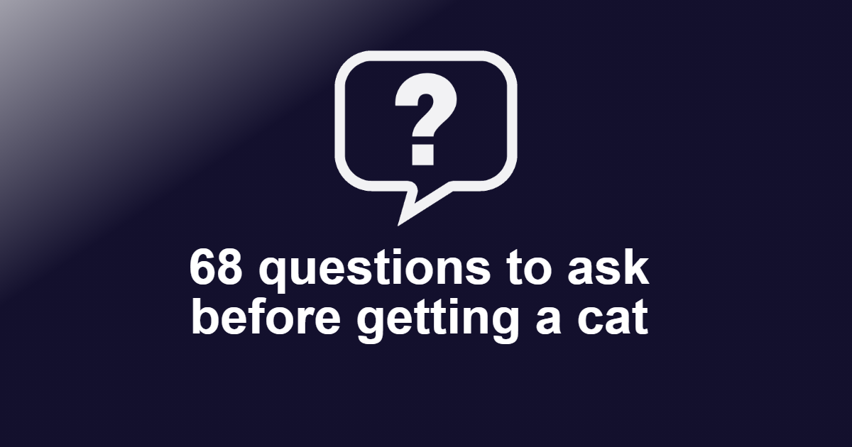 Questions to ask before getting a Cat